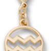 Aquarius Charm