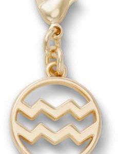 Aquarius Charm