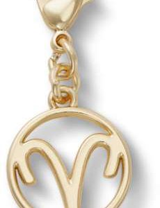 Aries Charm