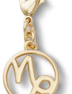 Capricorn Charm