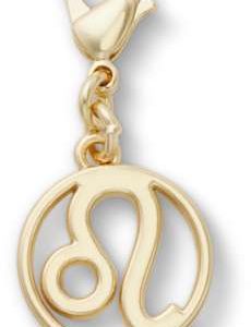 Leo Charm