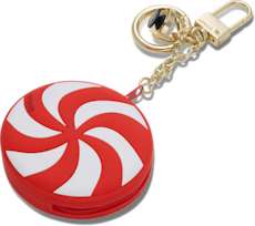 Peppermint Pouch Bag Charm