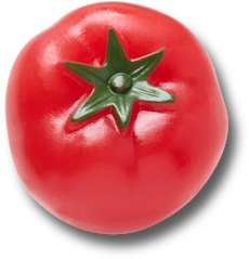 Realistic Tomato