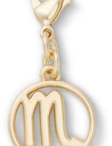 Scorpio Charm
