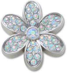 Silver Mnchrm Daisy 1