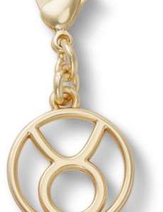 Taurus Charm