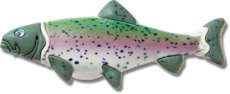 Trout Fish