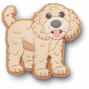 Crocs Golden Doodle Puppy