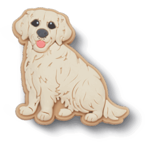 Crocs Golden Retriever Puppy
