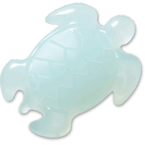 Crocs Light Blue Turtle