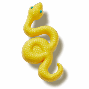Crocs Dimensional Snake