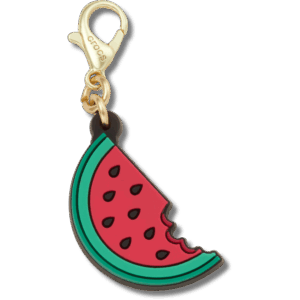 Crocs Watermelon Charm