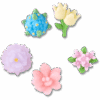 Crocs Beaded Flowers 5 Pack