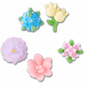 Crocs Beaded Flowers 5 Pack