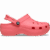 Guava