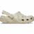 Bone / Multi