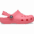 Guava