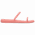 Guava