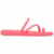 Guava
