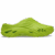 Lime Punch