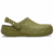 Aloe