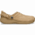 Cashew