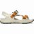 Bone / Multi