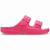 Dragon Fruit